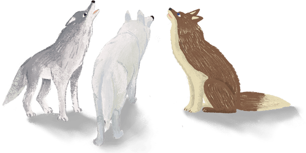 チームワークのイラスト